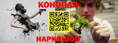 МДПВ Партизанск
