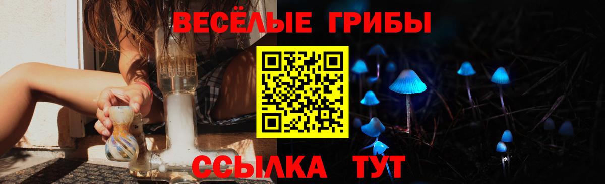 Псилоцибиновые грибы GOLDEN TEACHER  Псилоцибиновые грибы мухоморы  хочу наркоту  Прохладный  Вход с VPN 